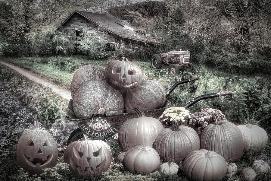 Pumpkins at Grandpas Barn in Black and White  Photograph by Debra and Dave Vanderlaan