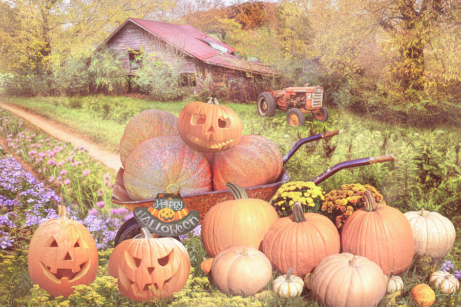 Pumpkins at Grandpas Barn in Country Colors Photograph by Debra and Dave Vanderlaan
