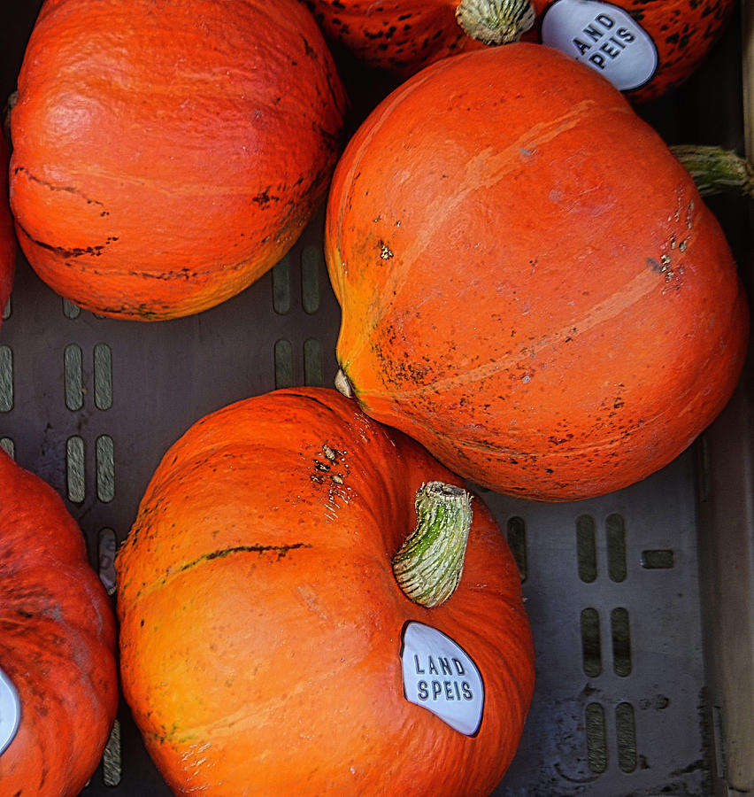 Pumpkins At The Farmers Market Photograph