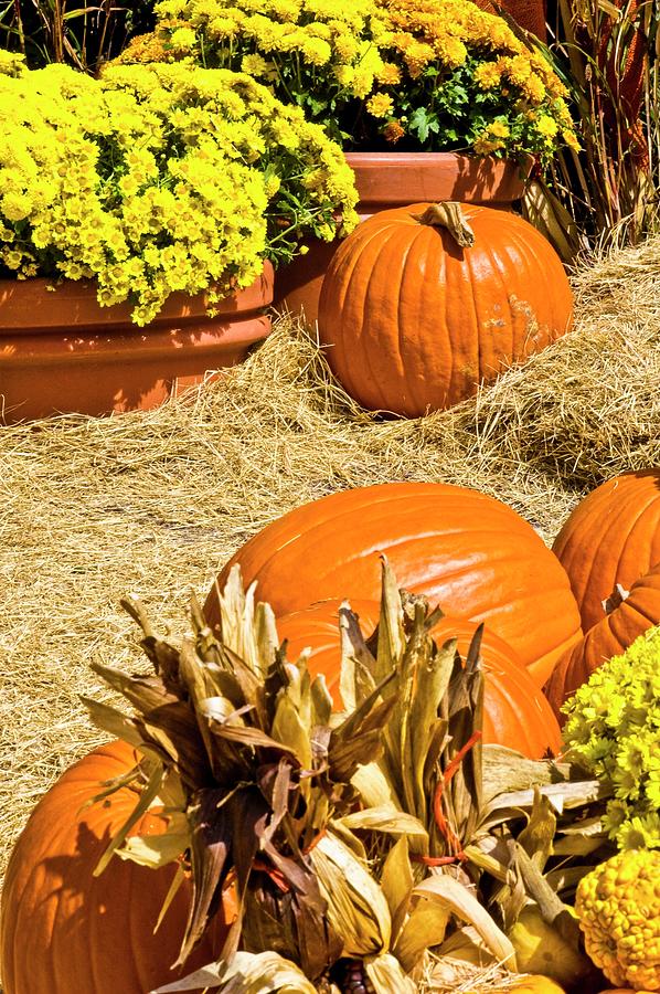 Thanksgiving Photograph - Pumpkins Fall Decoration by Carolyn Marshall