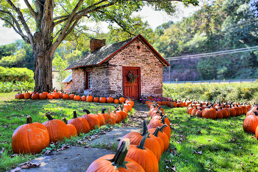 Fall Photograph - Pumpkins For All by DJ Florek