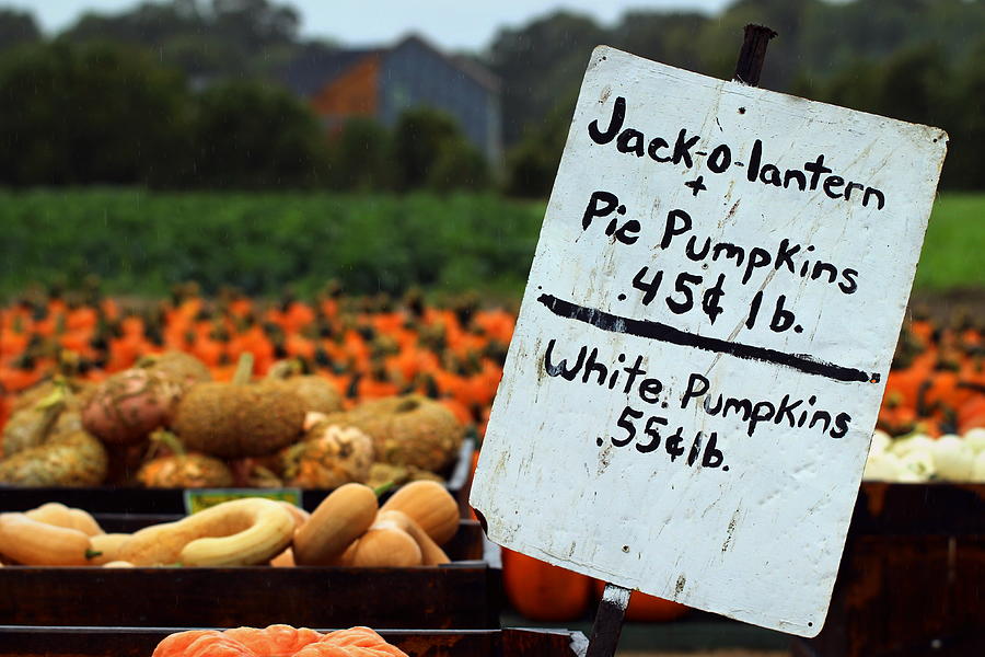 Pumpkins For Sale Photograph by Joseph Skompski