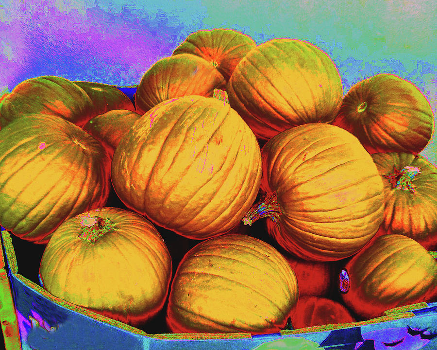 Pumpkins In A Box Photograph by Andrew Lawrence