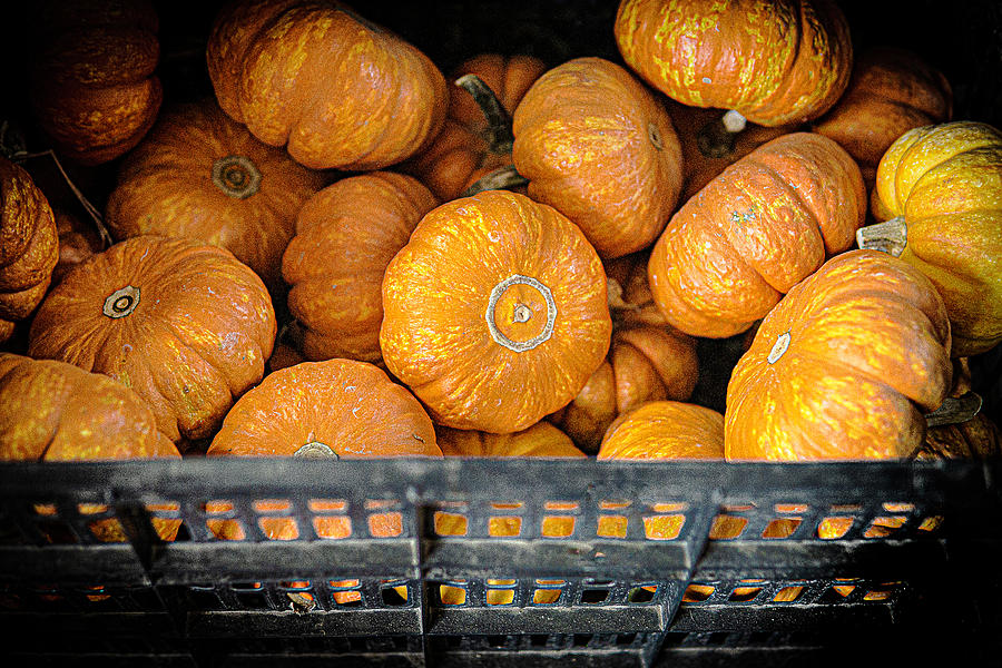 Pumpkins in a Crate Photograph by David Morehead