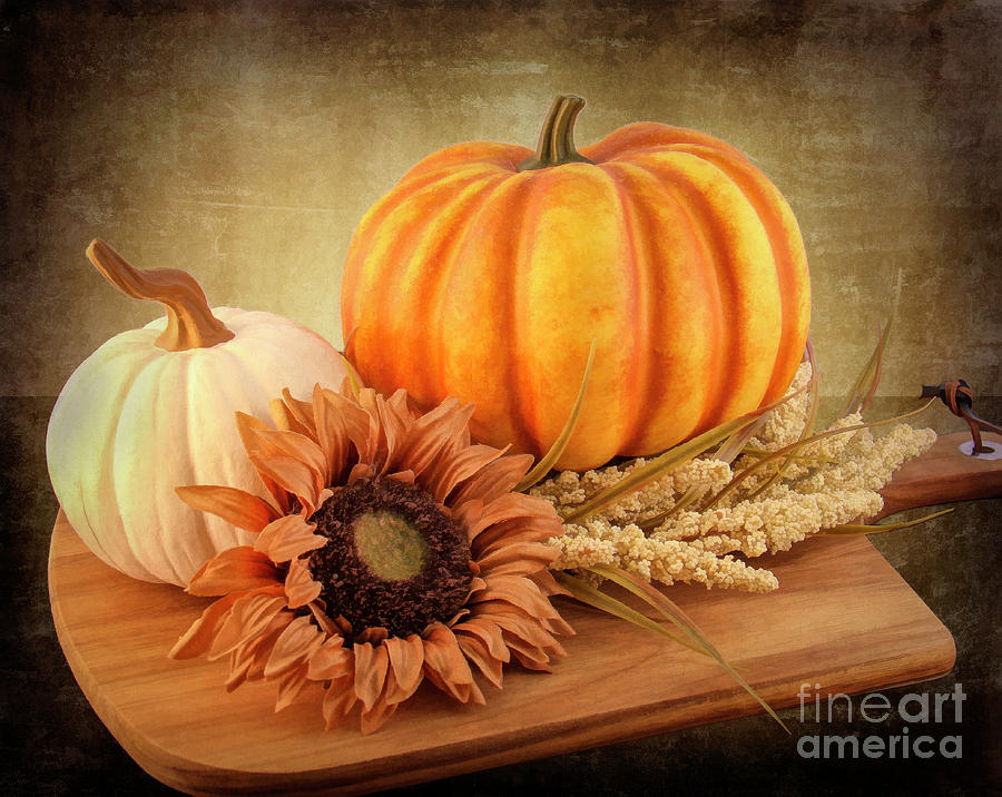 Pumpkins Photograph by Michelle Tinger