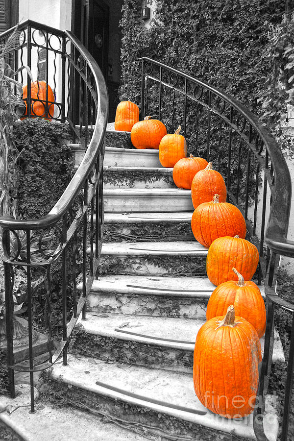 Pumpkins on a Savannah Staircase Photograph by Catherine Sherman