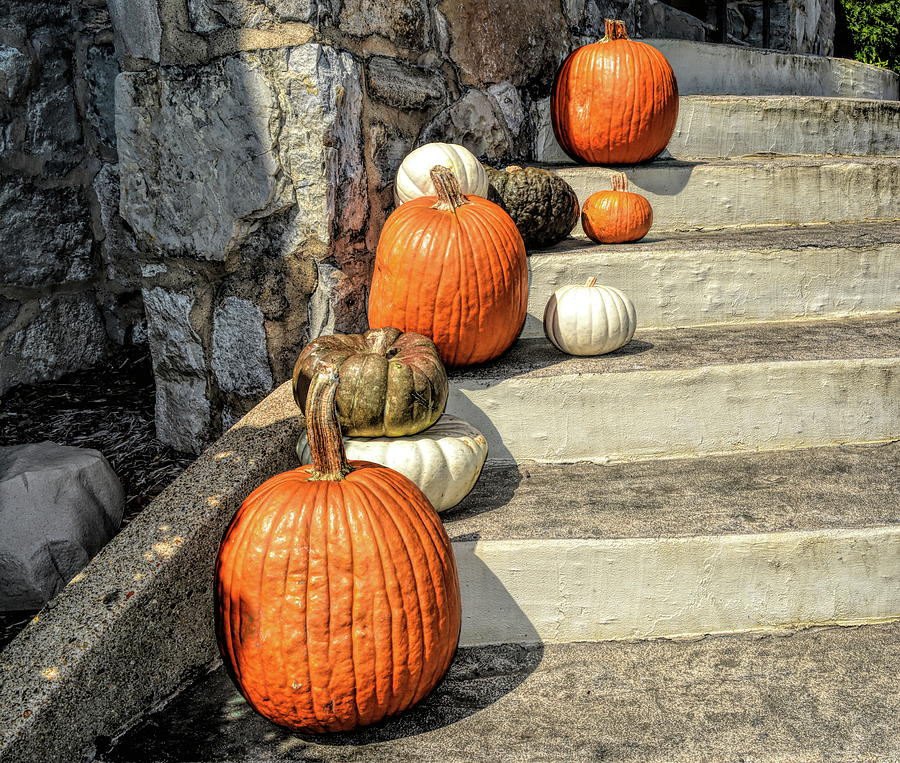 Pumpkins on Steps Photograph by Aimee L Maher ALM GALLERY