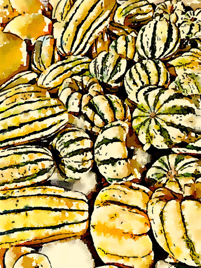 Pumpkins  Digital Art by Steve Glines