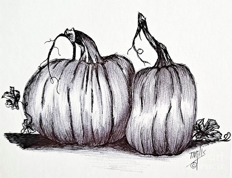 Pumpkins Drawing by Terri Mills