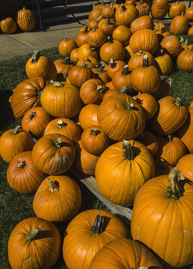 Pumpkins, Waynesville Photograph by Jerry Whaley