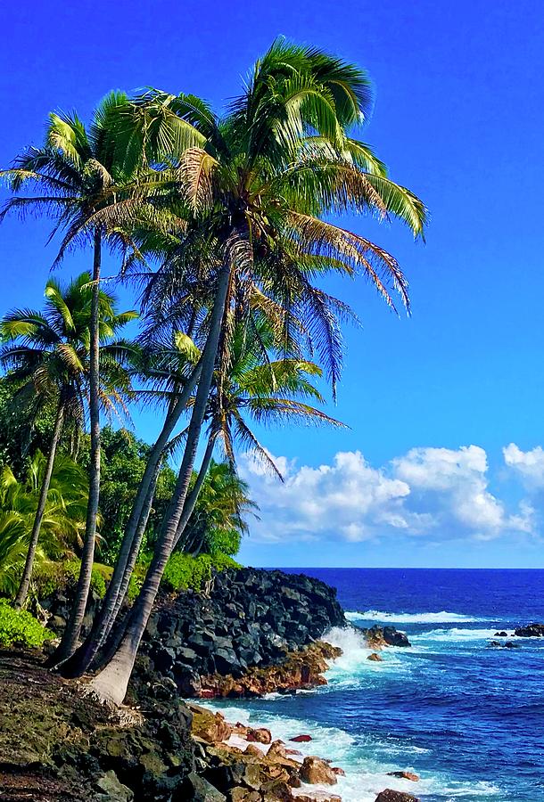 Puna Coastline Aloha  Photograph by Joalene Young