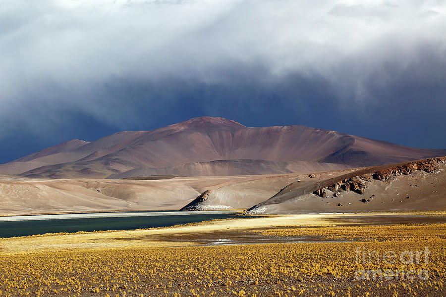 Puna desert grassland and Laguna Santa Rosa Chile Photograph by James Brunker