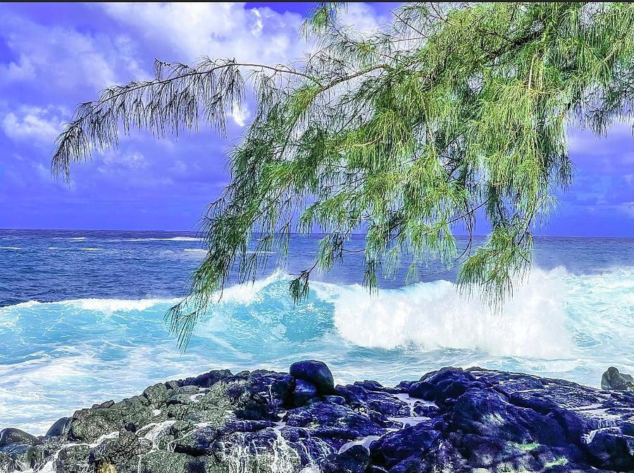 Puna Wave Aqua Aloha Photograph by Joalene Young