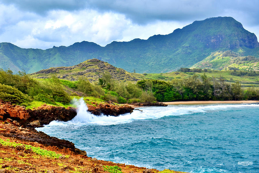 Punahoa Point Towards Gillins Beach Photograph by Gary F Richards