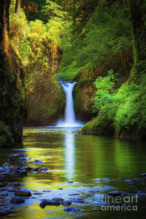 Nature Photograph - Punchbowl Falls by Inge Johnsson