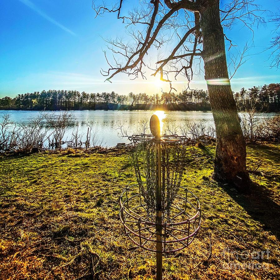 Punderson Disc Golf Gold Photograph by Michael Krek