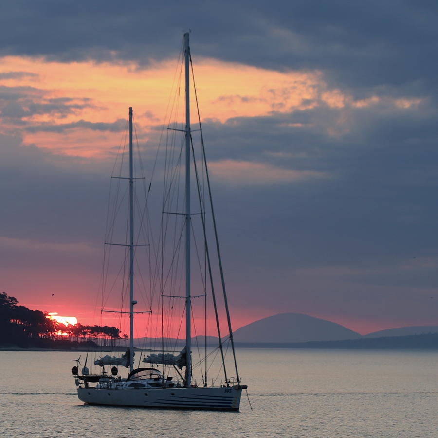 Punta Bay at Sunset Photograph by Robert McKinstry
