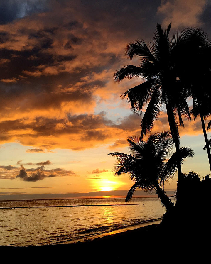 Punta Cana Sunset Photograph by Tom STRUTZ