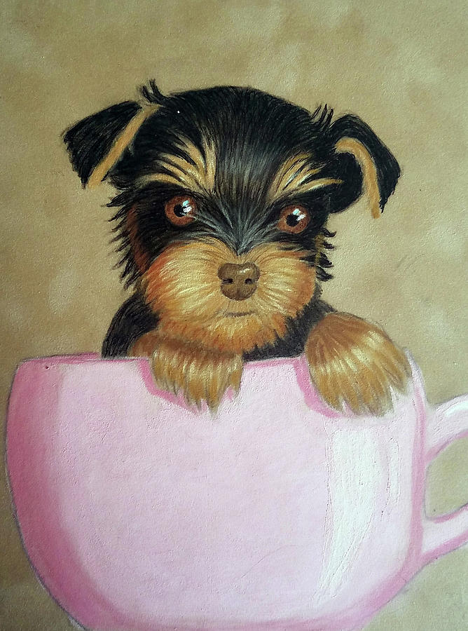 Pup in a Cup Drawing by Lorraine Foster
