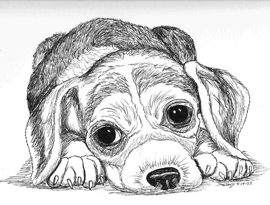 Pup Drawing - Pup by Keith Piccolo