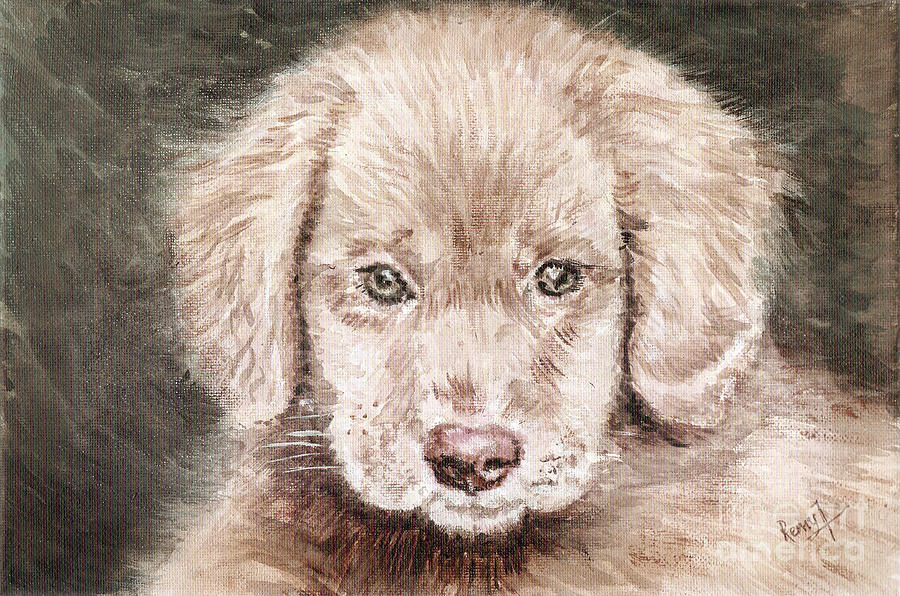 Dog Portrait - Irish-setter puppy Painting by Remy Francis
