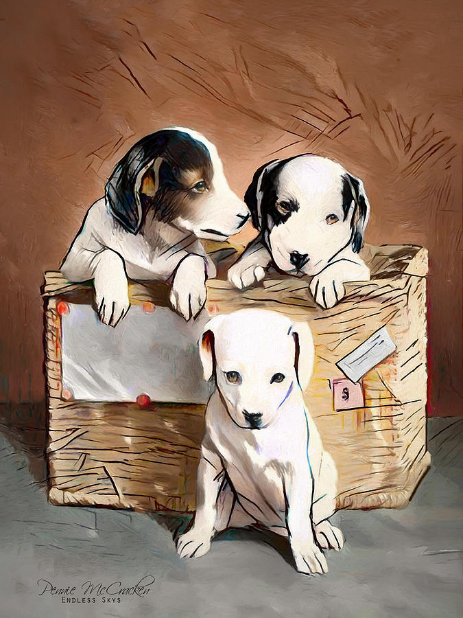 Puppies Digital Art by Pennie McCracken
