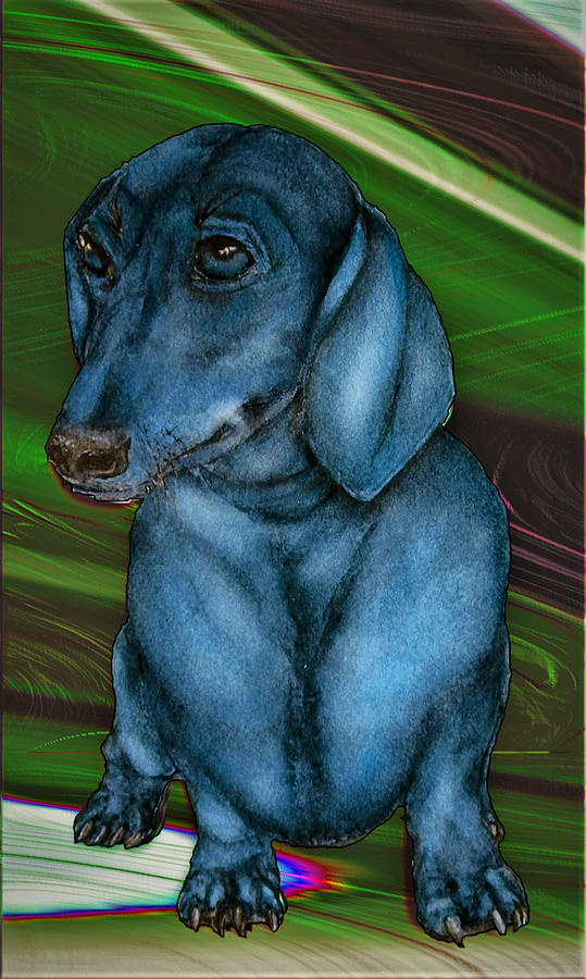 Puppy Blues Digital Art by Ronald Mills