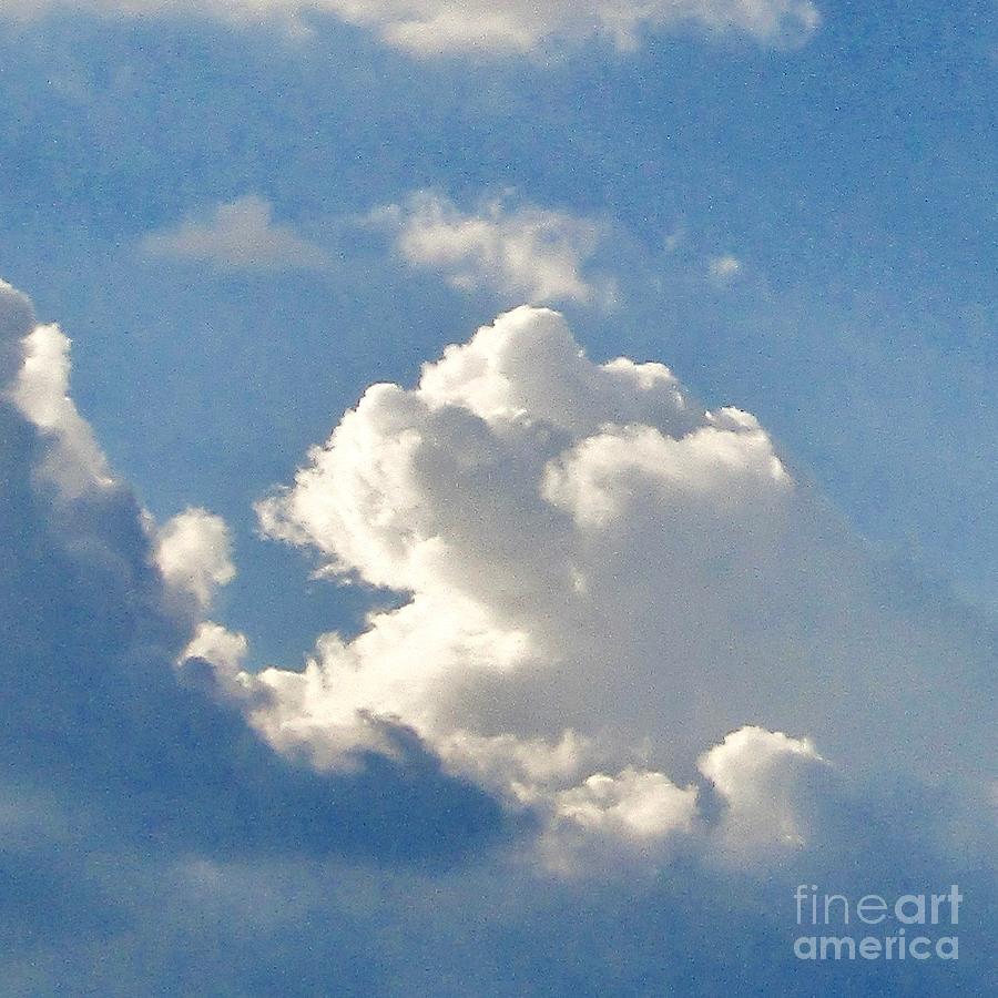 Puppy Cloud Photograph by Phyllis Kaltenbach