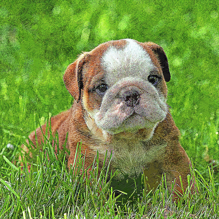 Puppy English Bulldog in the Meadow Painting by Custom Pet Portrait Art Studio