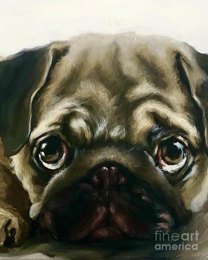 Animal Painting - Puppy eyes two by Rache Gerber