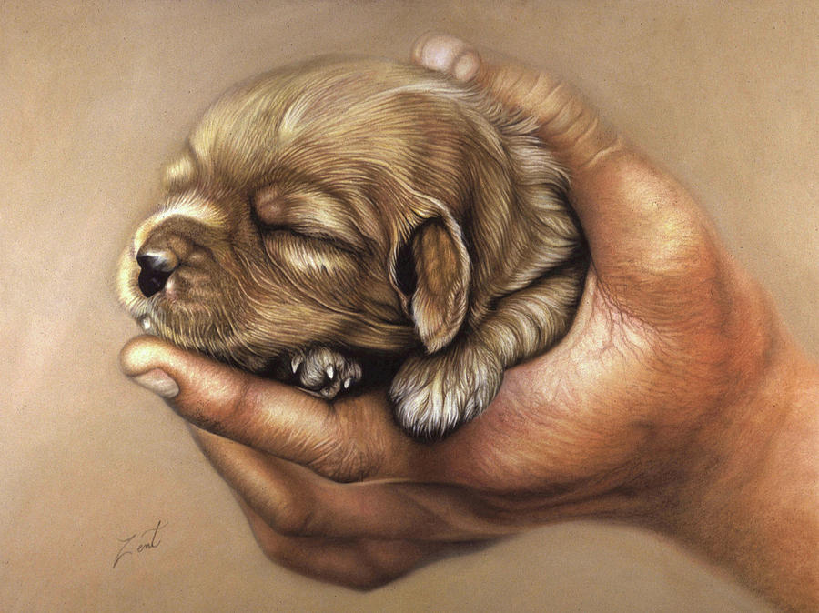 Puppy In Hand Pastel by June Pauline Zent