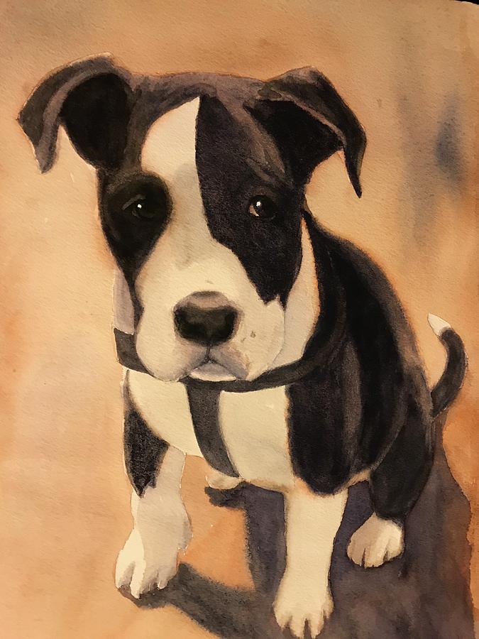 Puppy Love Painting by Marilyn Jacobson