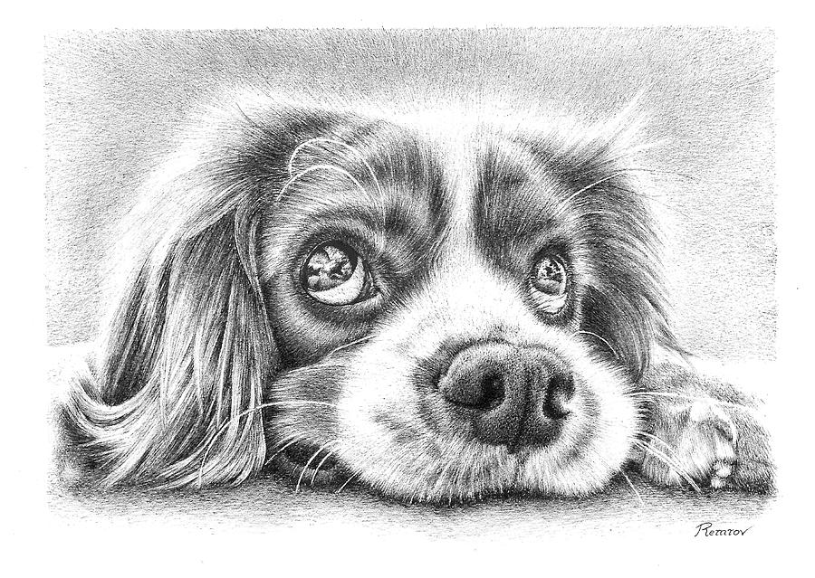Puppy  Drawing by Casey Remrov Vormer