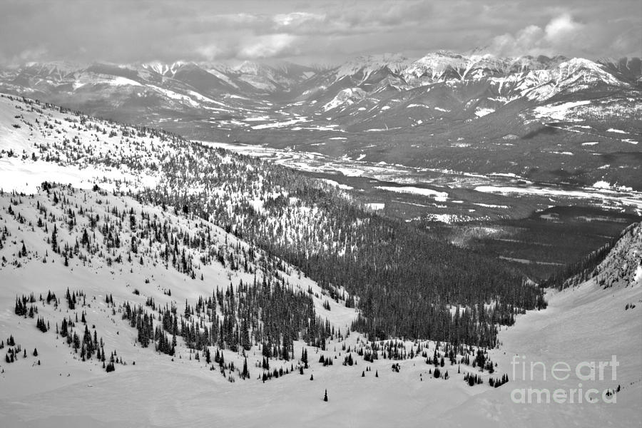 Purcell Mountain views In Golden BC Black And White Photograph by Adam Jewell