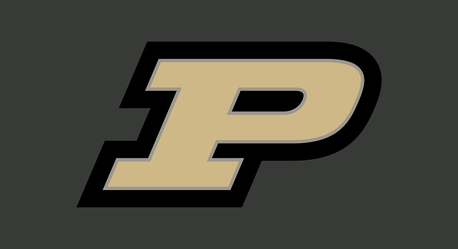 Purdue Boilermakers Logo Digital Art By Red Veles