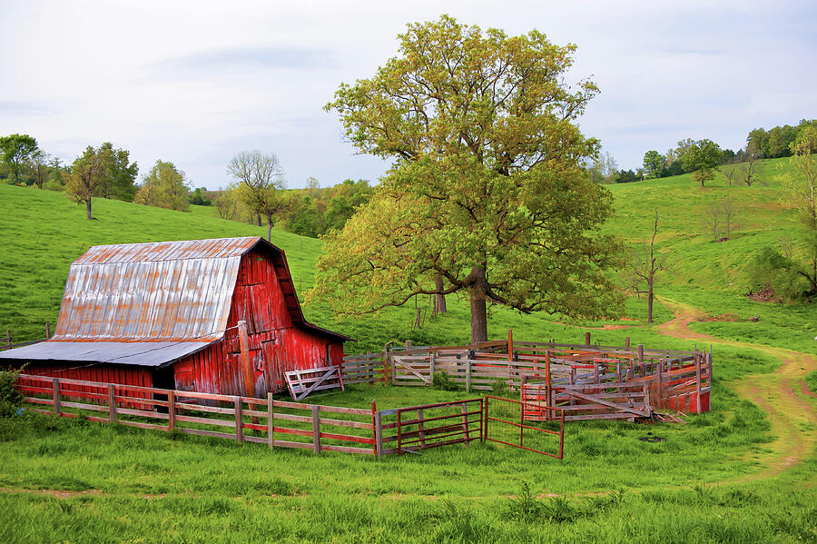 Pure Arkansas - Red Barn Photograph by Gregory Ballos