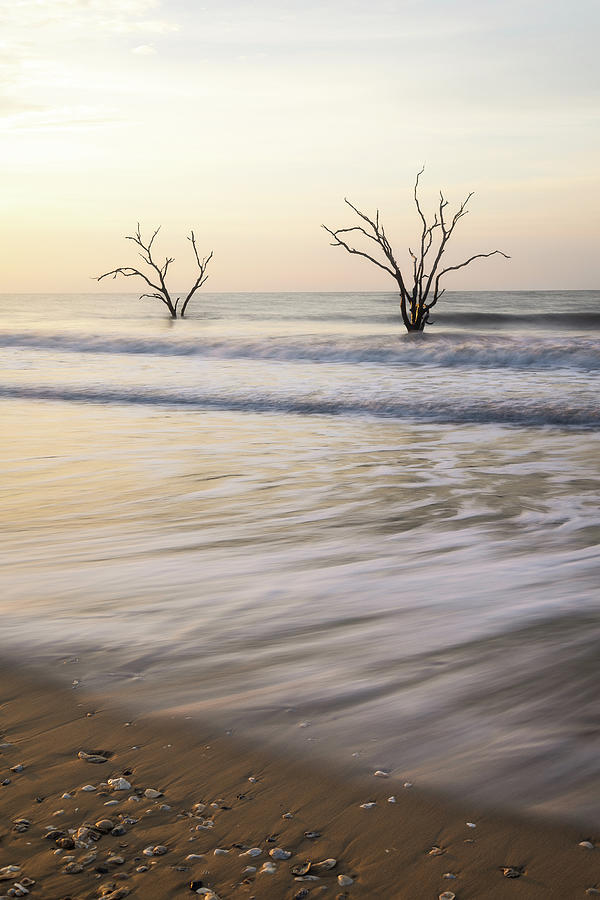 Pure Gold Botany Bay Edisto Island Photograph by Donnie Whitaker
