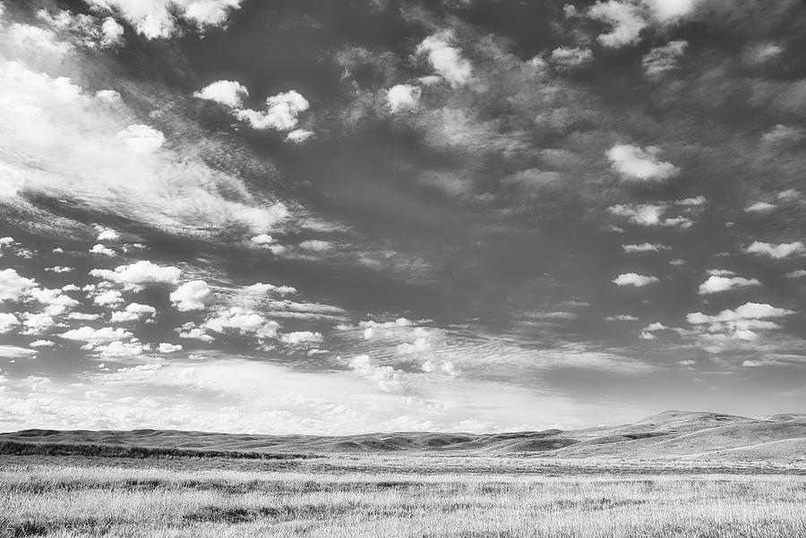 Pure Prairie League Black and White Photograph by Allan Van Gasbeck