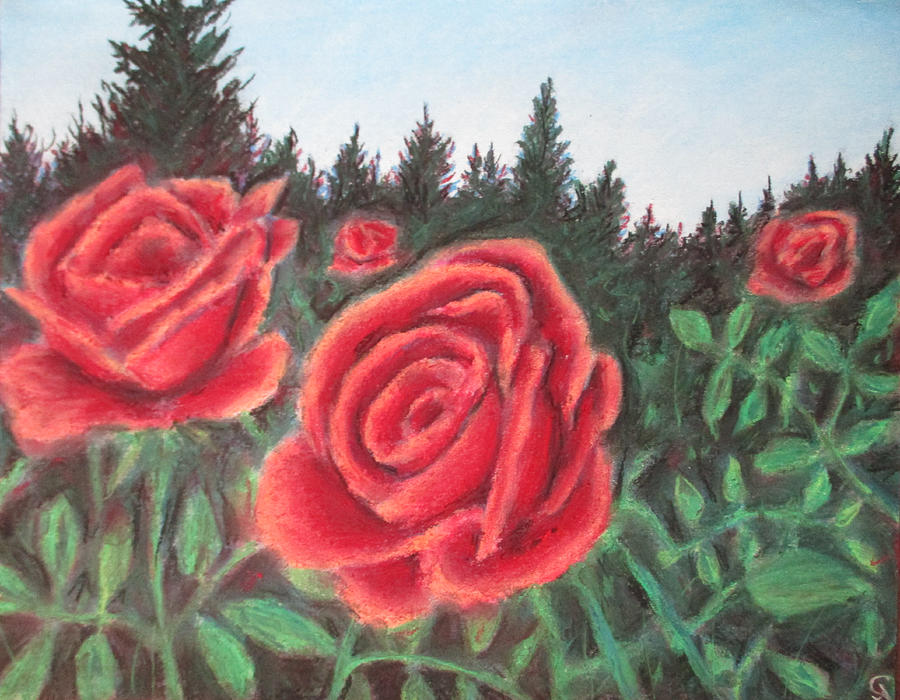 Pure Roses Painting by Jen Shearer