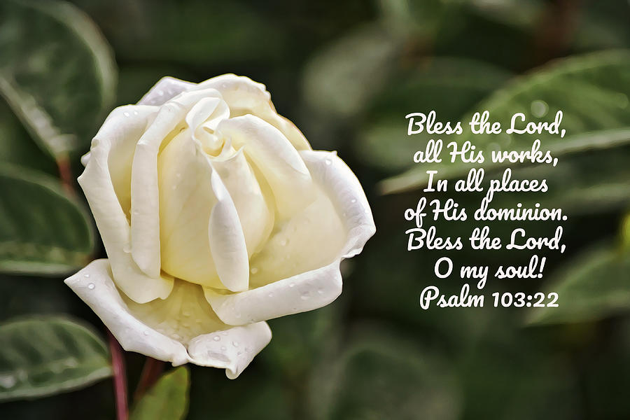 pure-white-rose-with-bible-scripture-digital-art-by-gaby-ethington