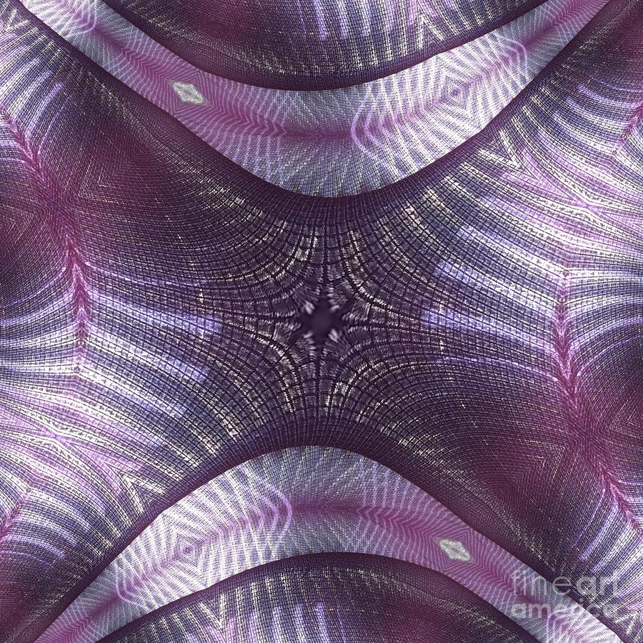 Purple Abstract Art Abstract Photography Image 5 Of 8 Photograph By Ramona Bruner Fine Art 