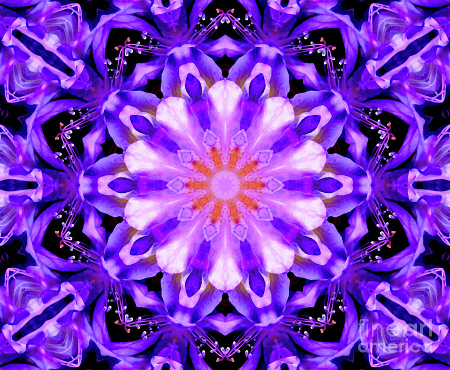 Abstract Digital Art - Purple Abstract Mandala Kaleidoscope by LJ Knight