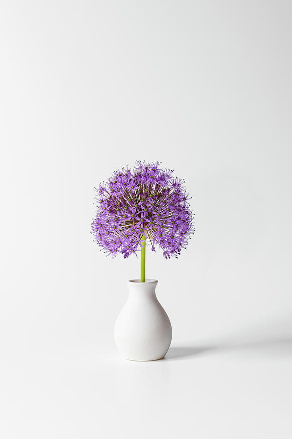 Purple Allium Bud Vase -  Vertical Photograph by Patti Deters