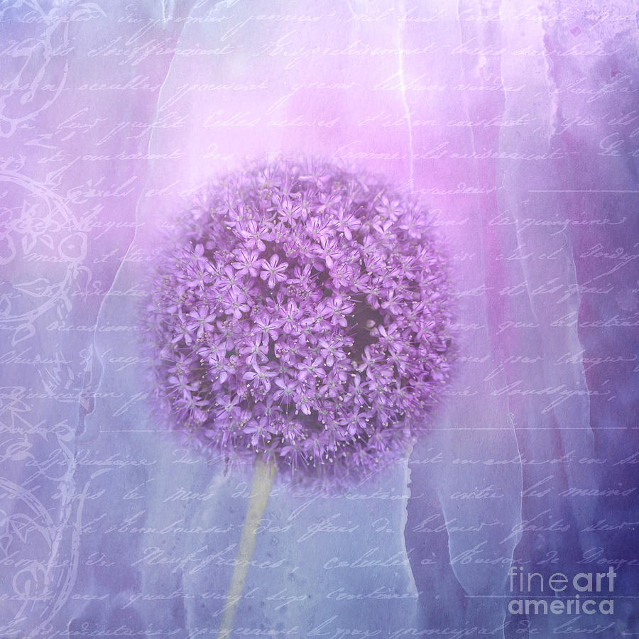 Onion Mixed Media - Purple Allium Flower 01 by Elisabeth Lucas