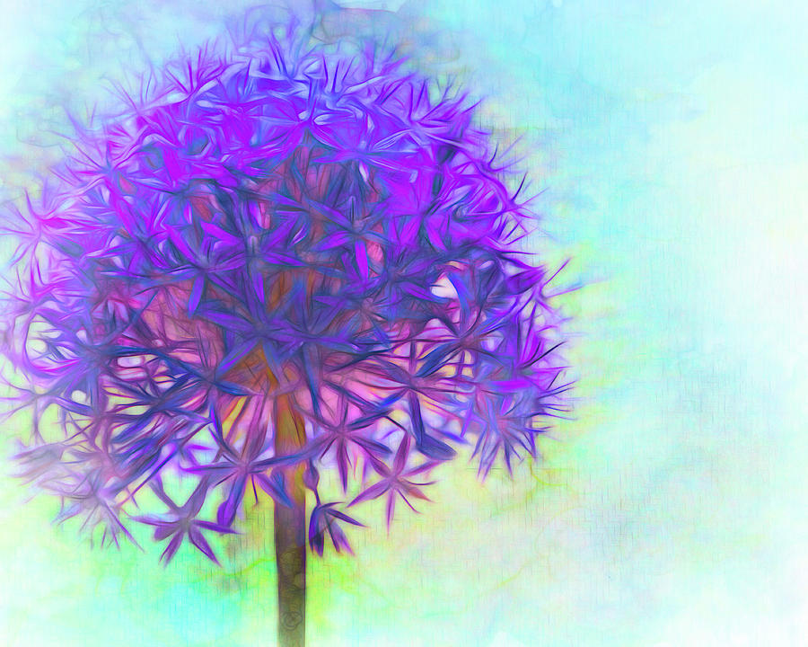 Purple Allium On Blue Mixed Media