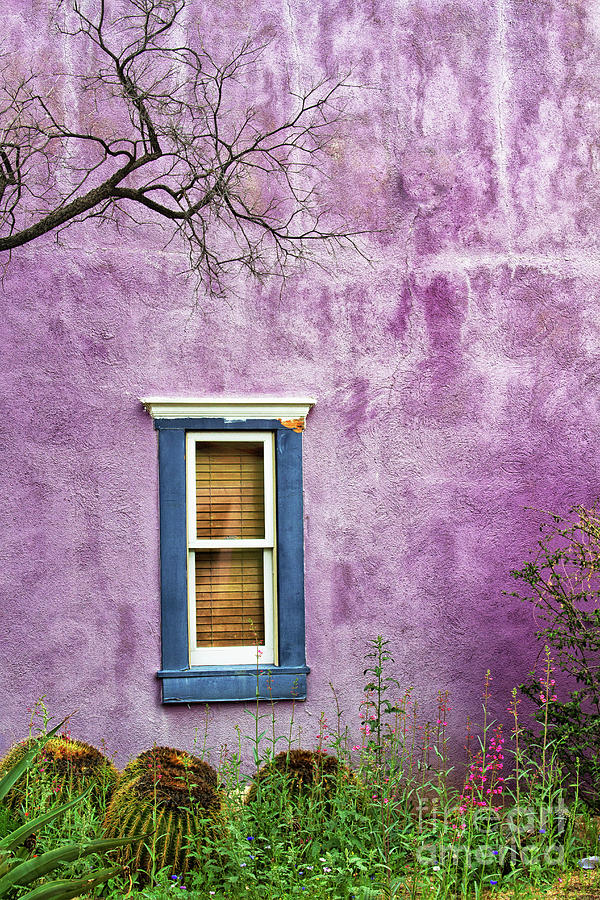 Purple and Blue in a Southwestern shade Photograph by Ruth Jolly