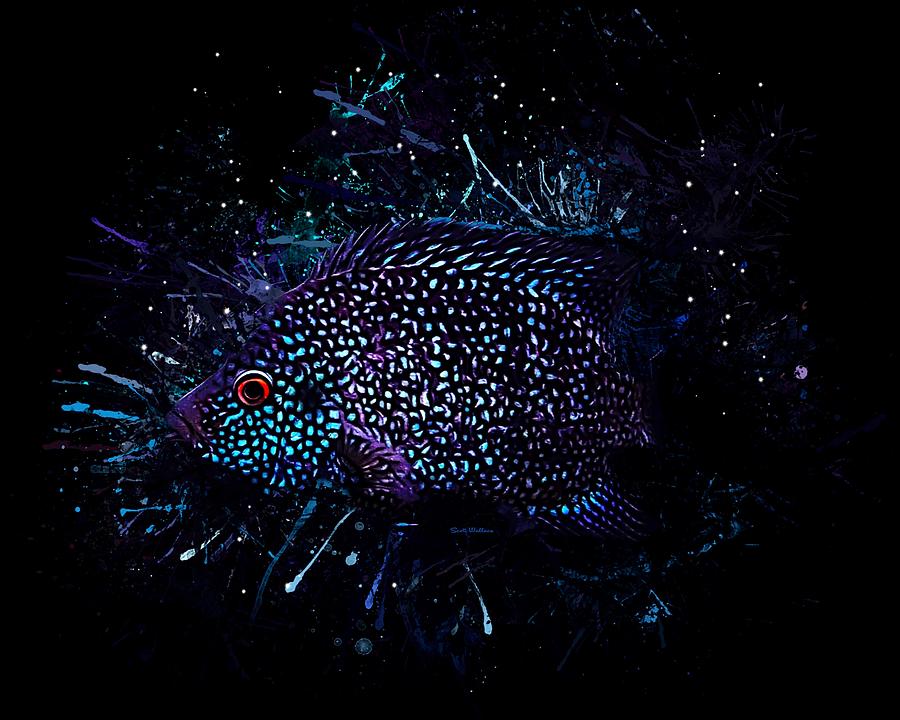 Fish Digital Art - Purple And Blue Texas Cichlid  by Scott Wallace Digital Designs