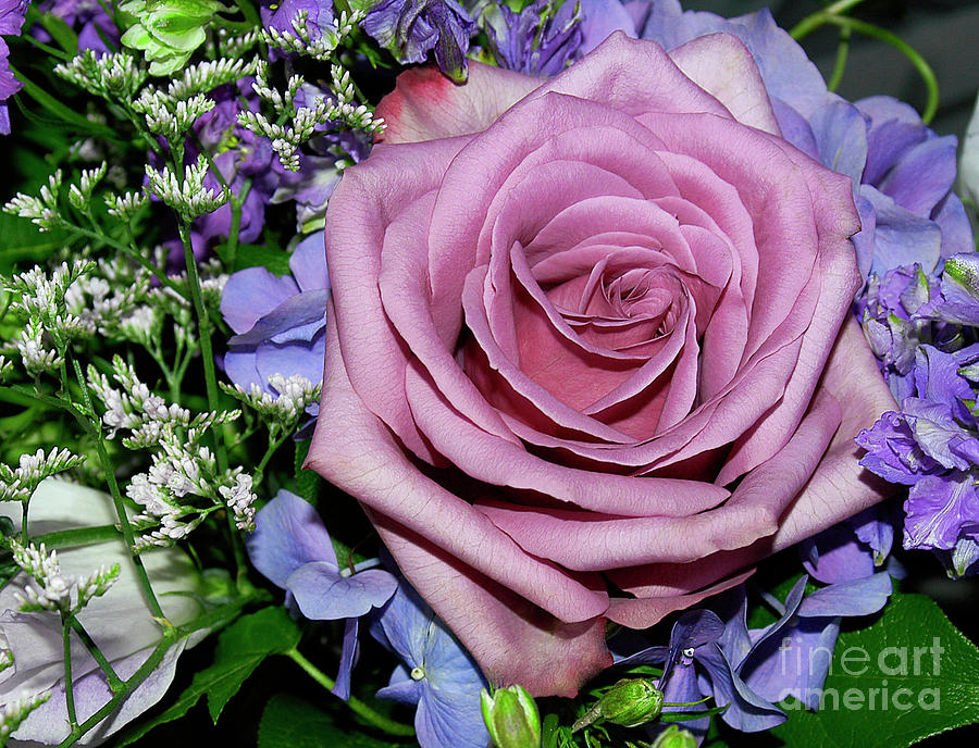 Purple and fuchsia colored Wedding Rose Bouquet Photograph by Gunther Allen