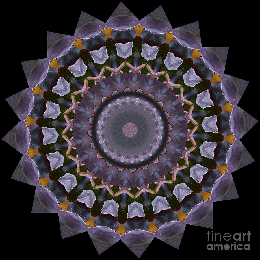 Purple and Gold - Abstract Leaves Mandala Digital Art by Yvonne Johnstone