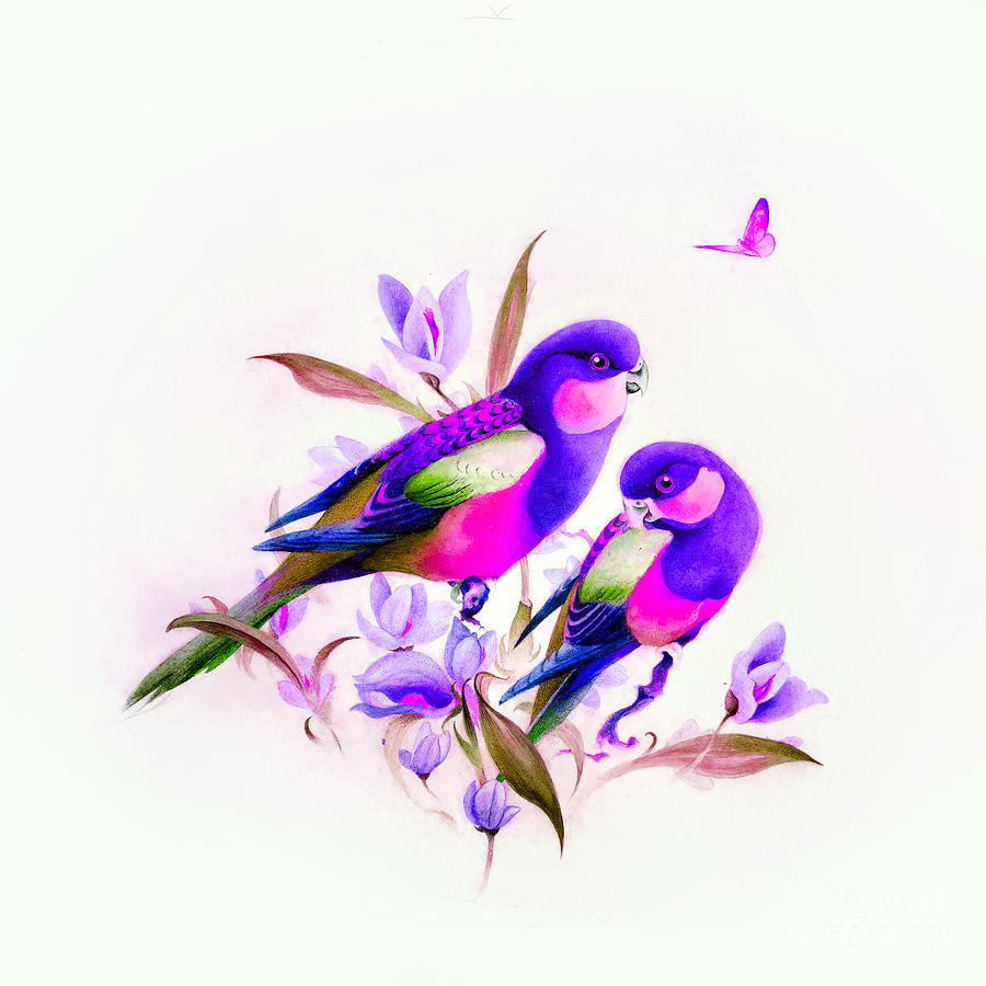 Purple and Pink Birds Photograph by Munir Alawi